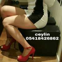 Yenişehir'in Azgın ve Olgun Escort Bayanları